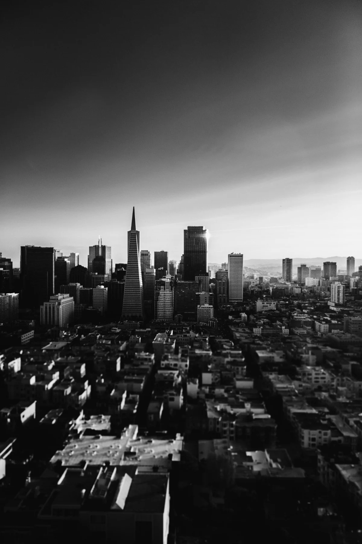 San Francisco skyline in black and white