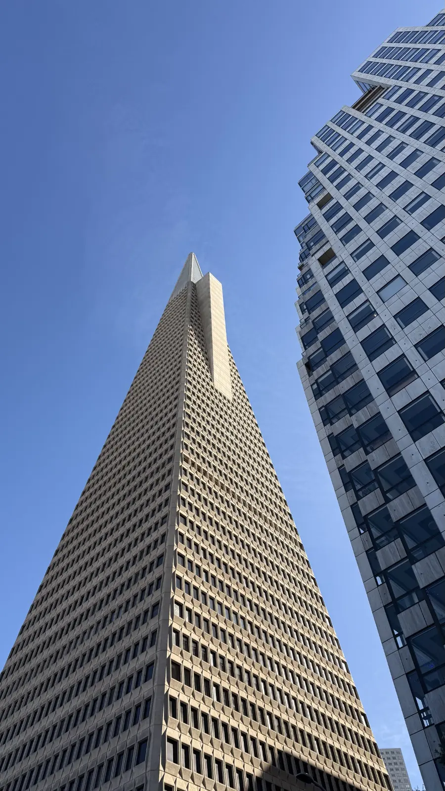 San Francisco downtown towers viewed from street level