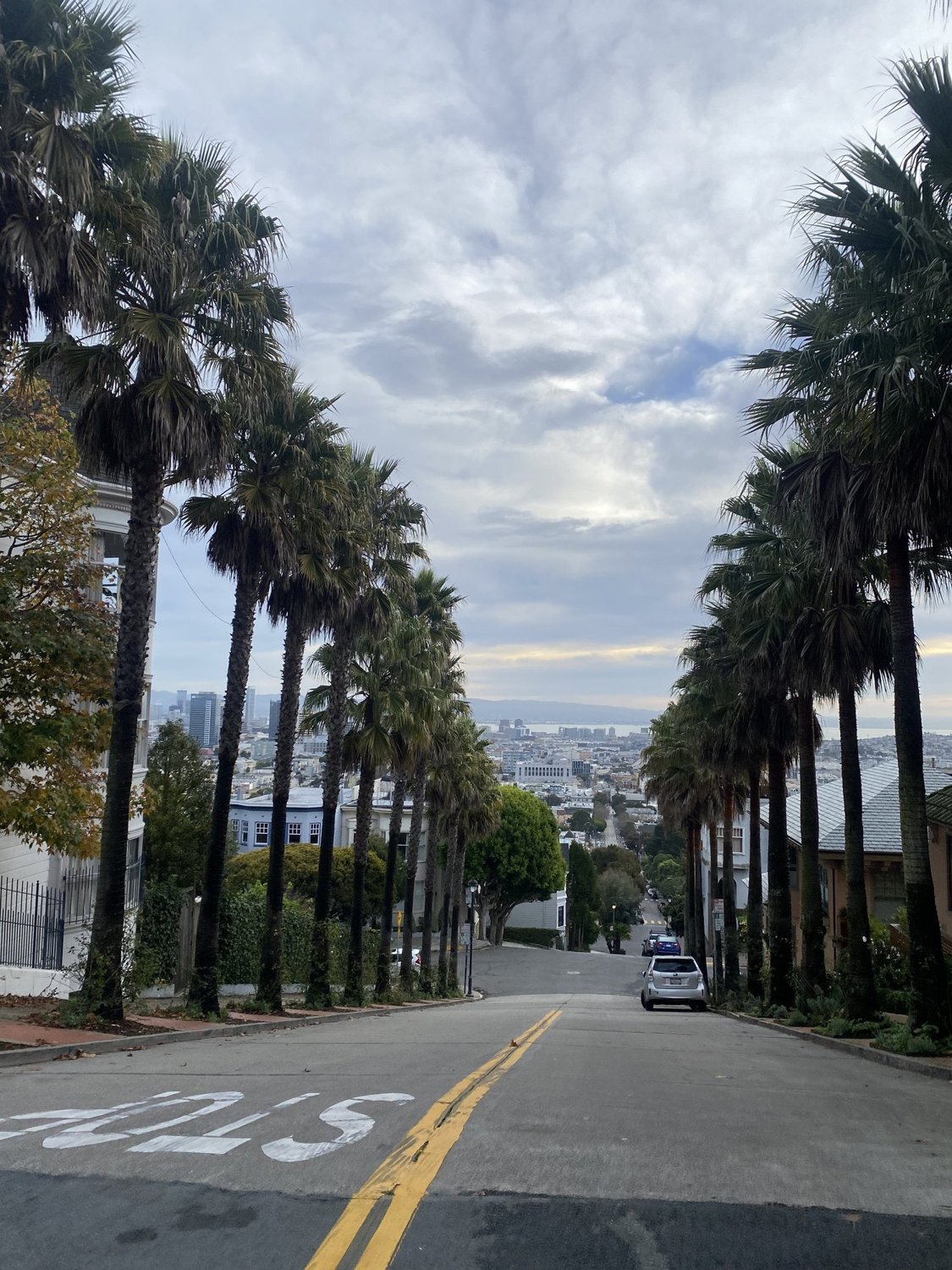 Nearby neighborhood street, 261 Waller Street